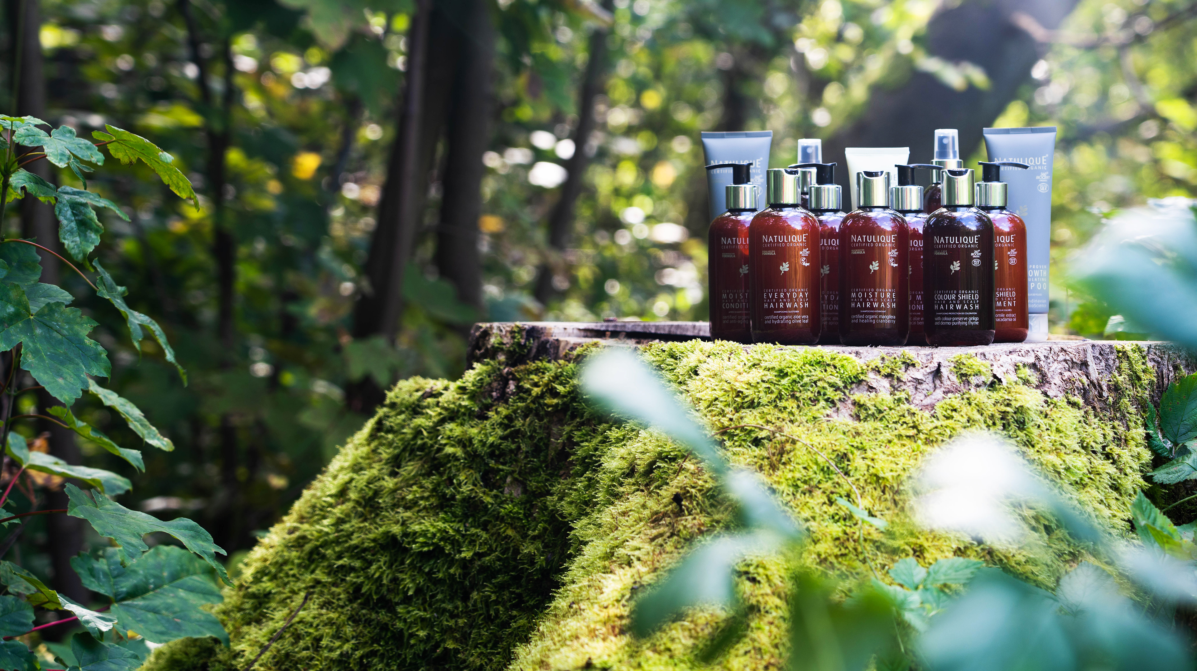 promo image of natulique products sitting on a tree stump